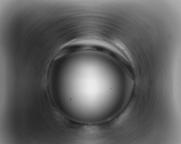 X0000088921089200706151920