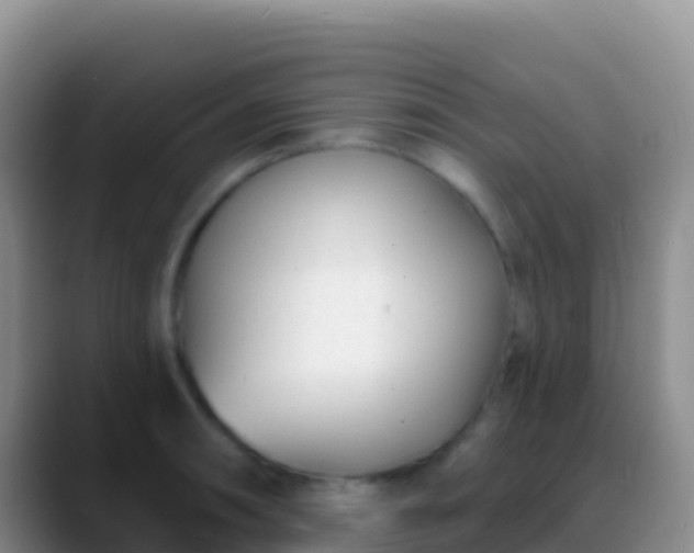 X0000088921090200706151920
