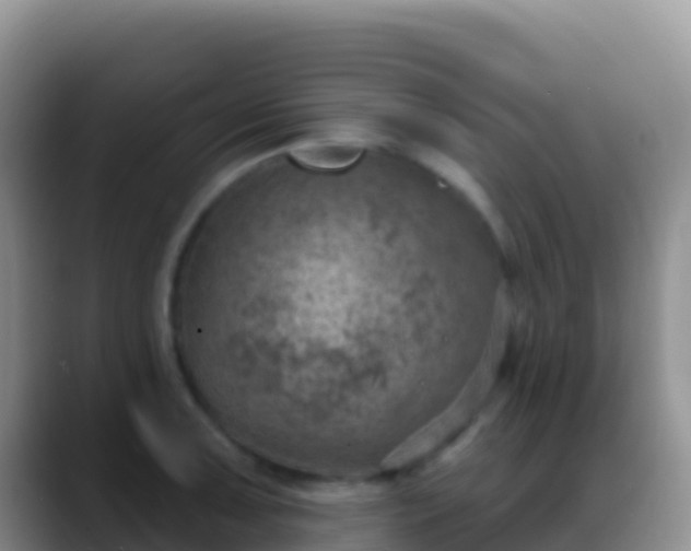 X0000088921091200706151920