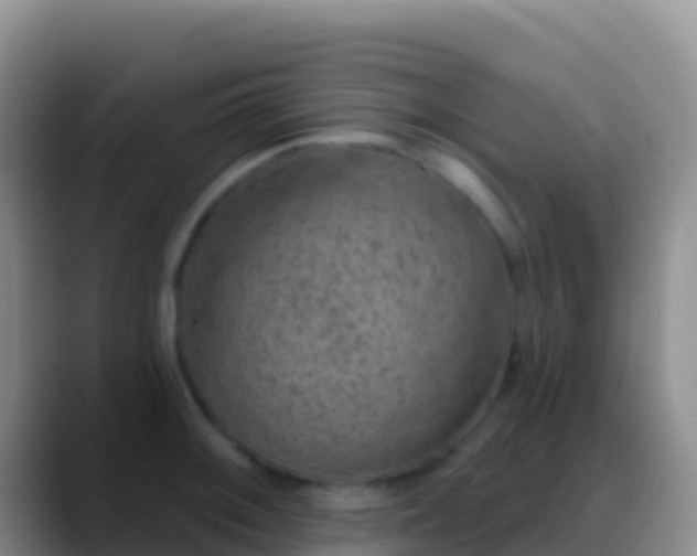 X0000088921092200706151920
