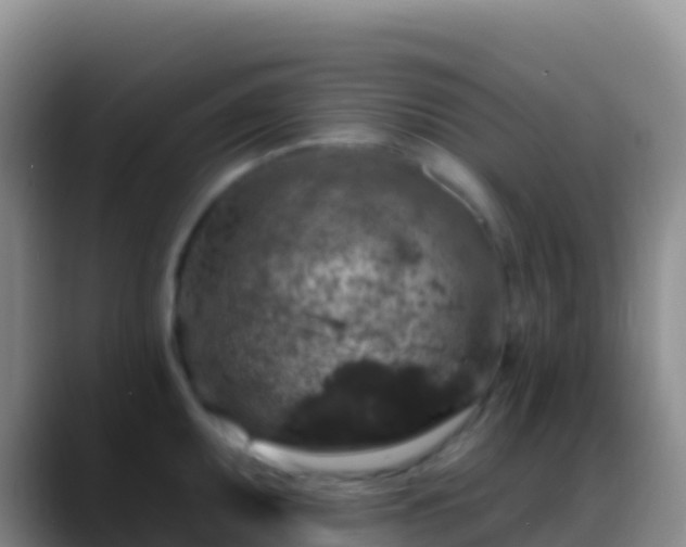 X0000088921095200706151920