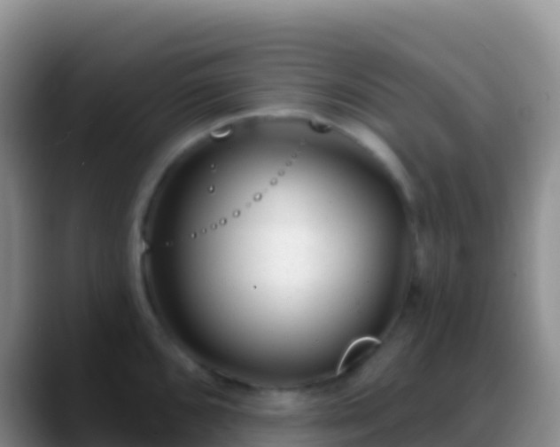 X0000088921096200706151920