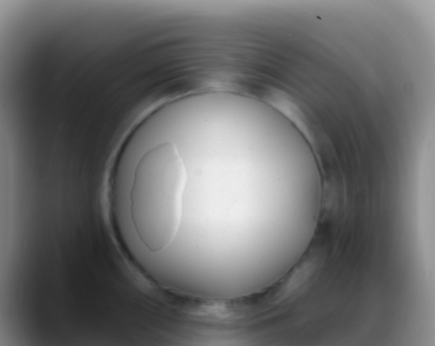 X0000088921098200706151920