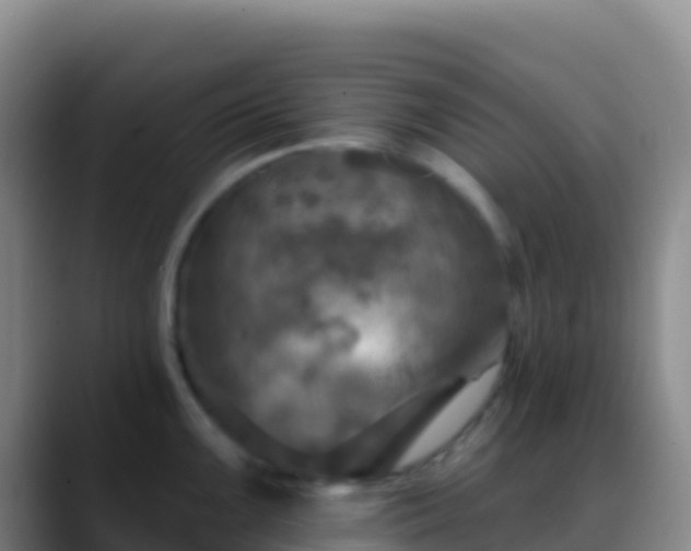 X0000088921099200706151920