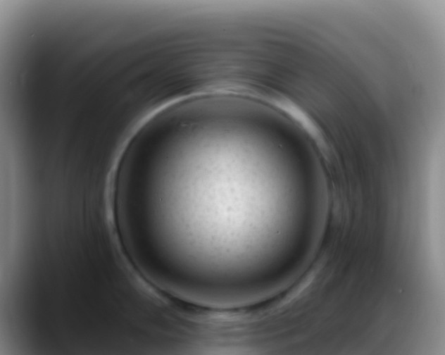 X0000088921102200706151920