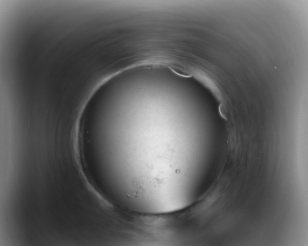 X0000088921103200706151920