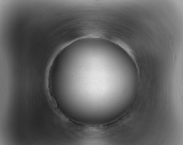 X0000088921104200706151920