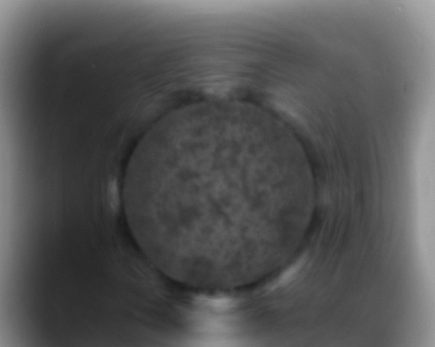 X0000088921106200706151919