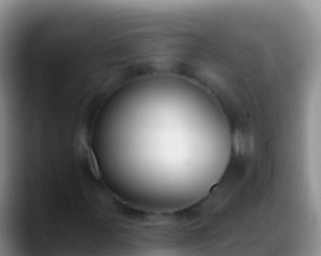 X0000088921107200706151919
