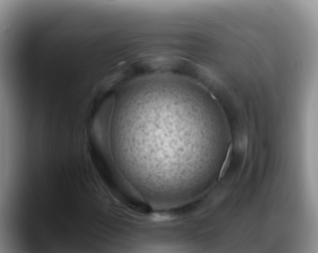 X0000088921108200706151919