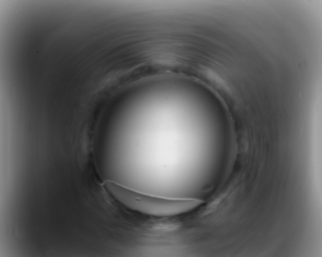 X0000088921110200706151919