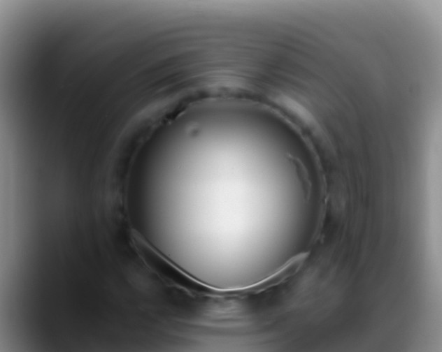 X0000088921112200706151919