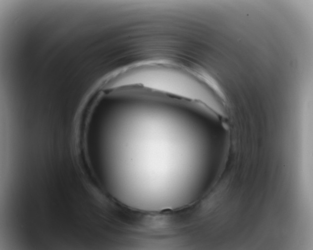 X0000088921116200706151919