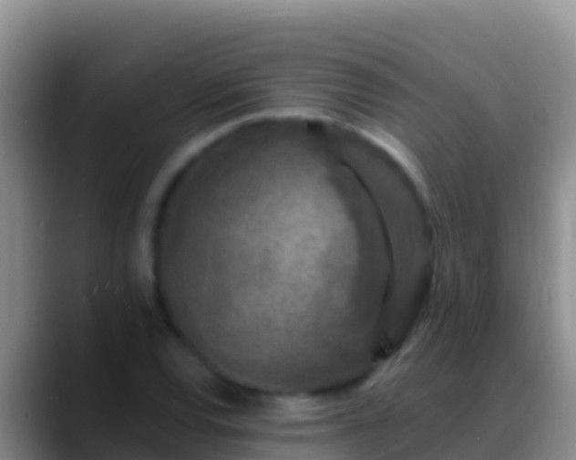 X0000088921120200706151919