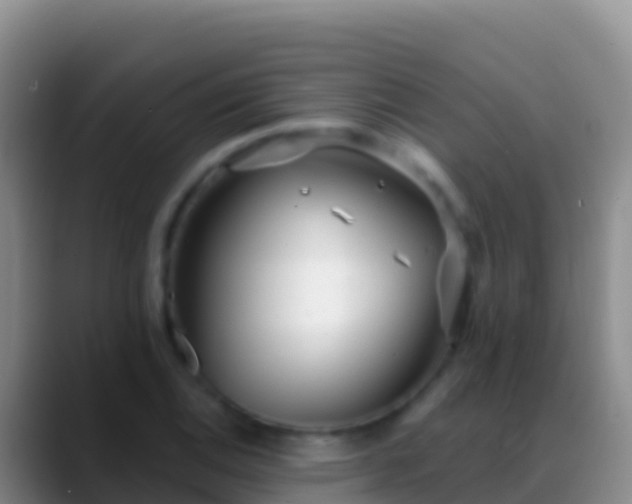 X0000088921124200706151919