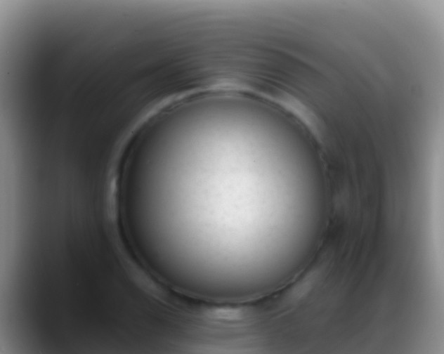 X0000088921126200706151919