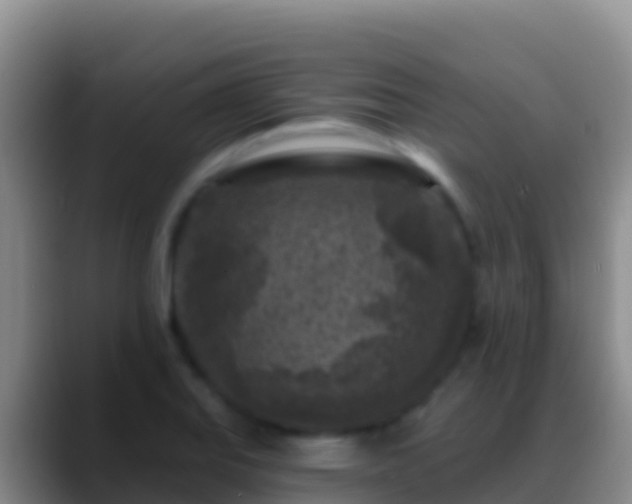 X0000088921127200706151919