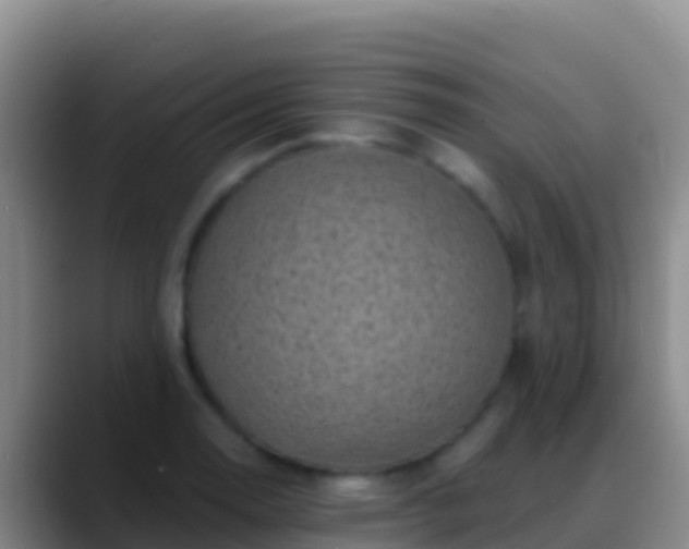 X0000088921130200706151919