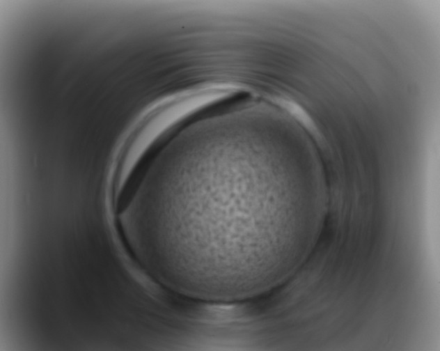 X0000088921132200706151919
