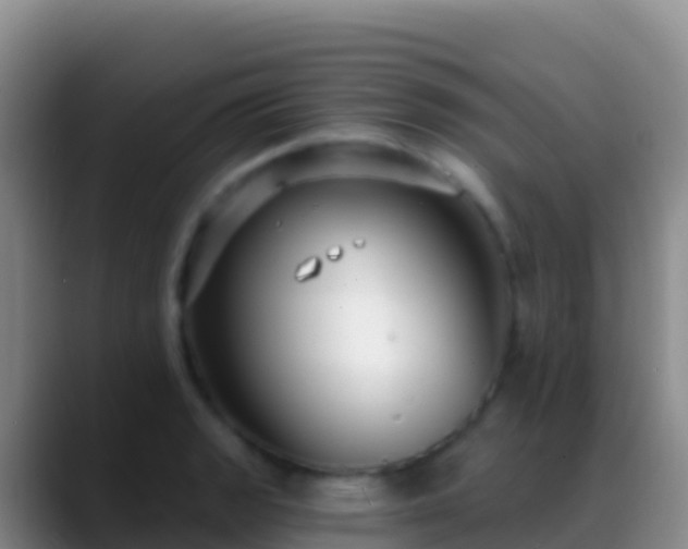 X0000088921133200706151919