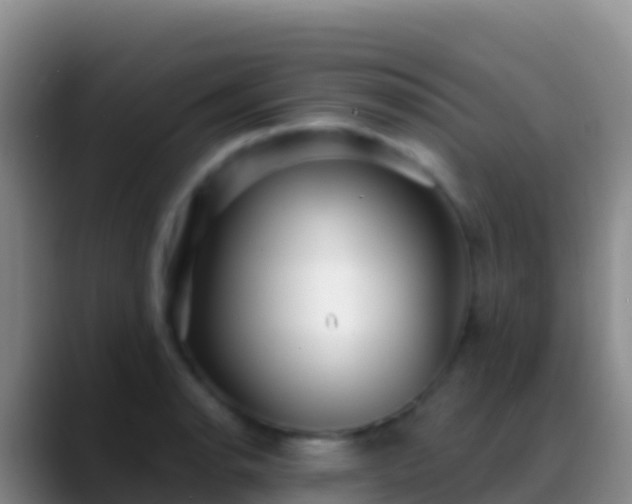 X0000088921134200706151920
