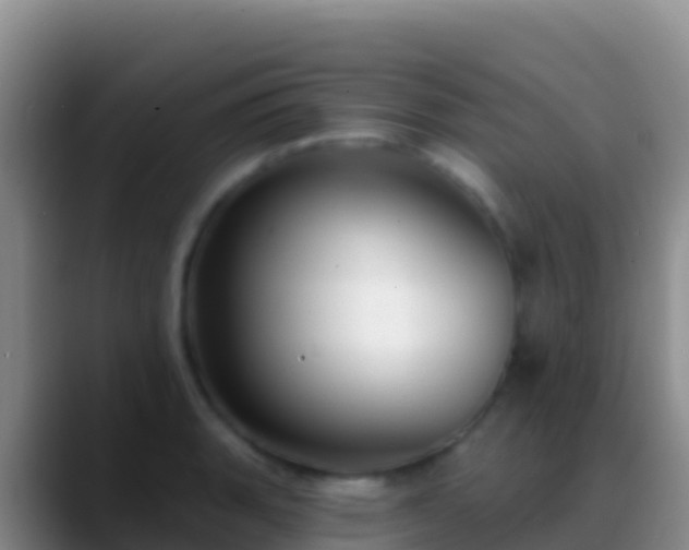 X0000088921135200706151920