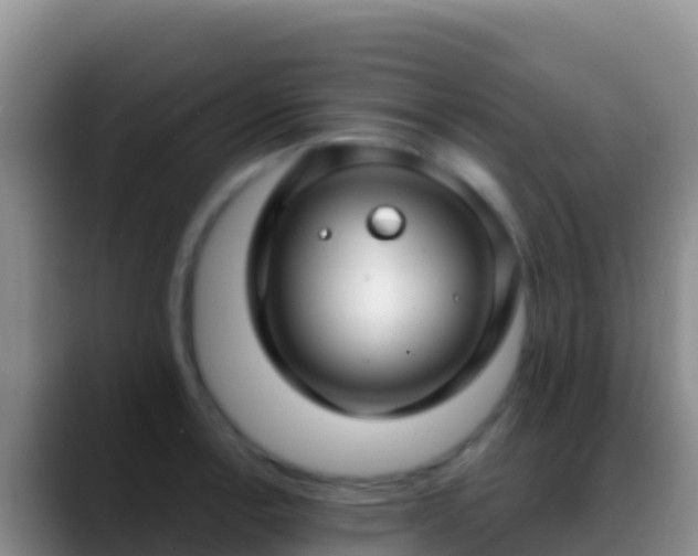 X0000088921138200706151920