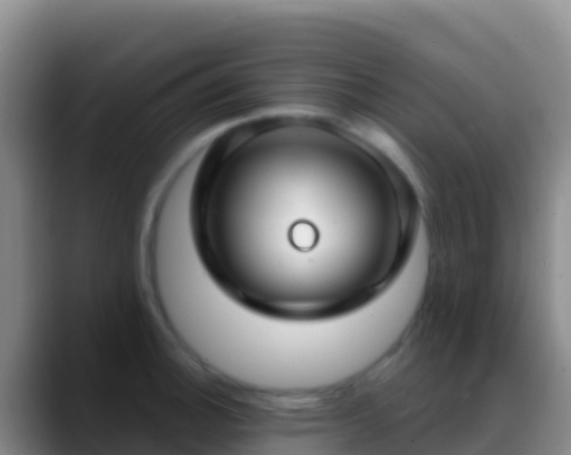 X0000088921140200706151920