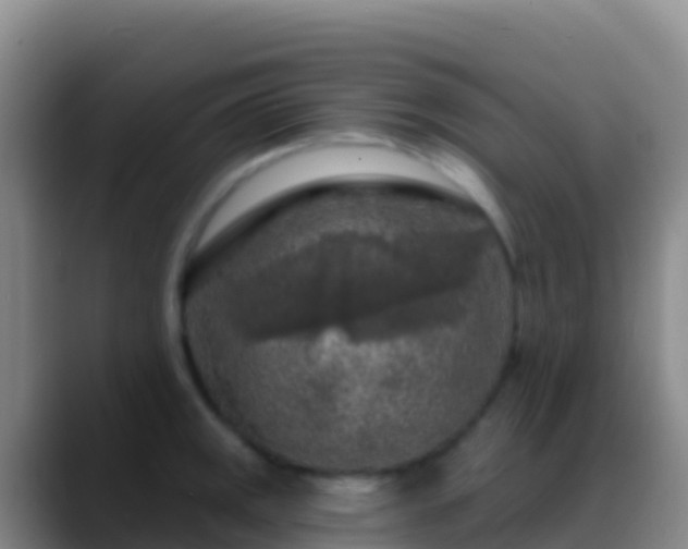X0000088921141200706151920