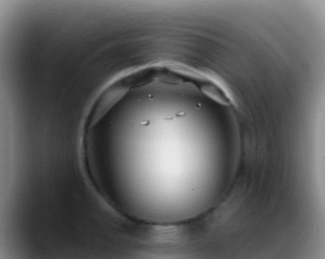 X0000088921142200706151920