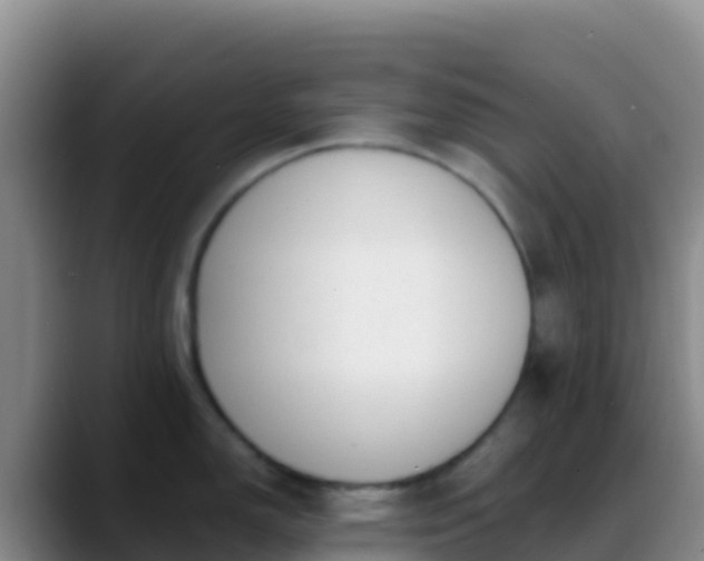 X0000088921150200706151920