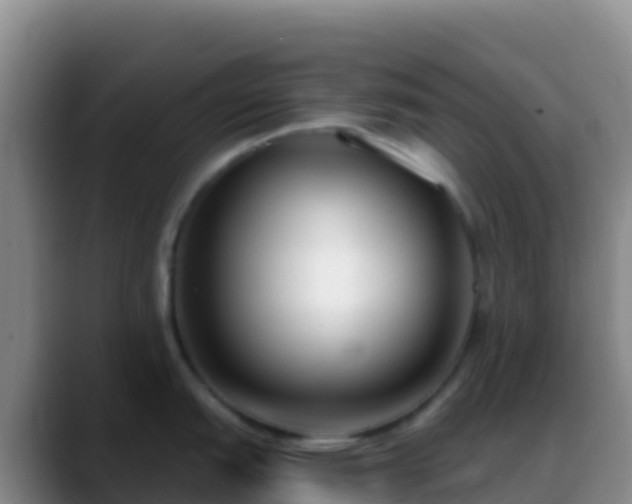 X0000088921151200706151920