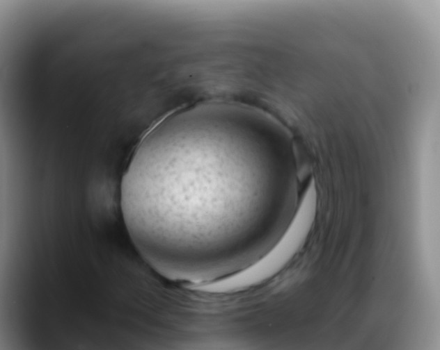 X0000088921156200706151919