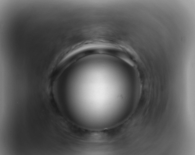 X0000088921160200706151919