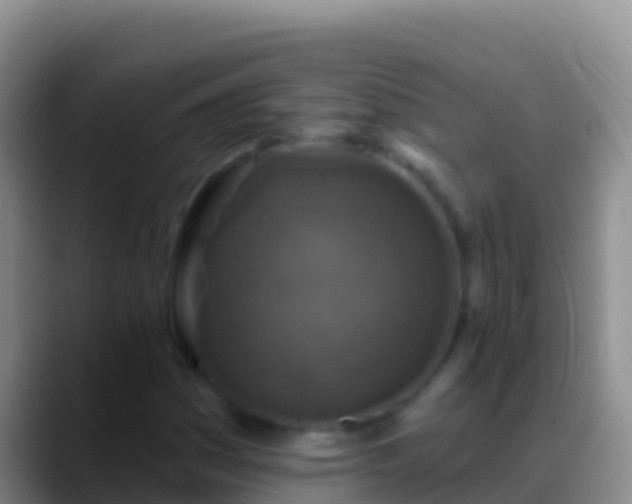 X0000088921161200706151919