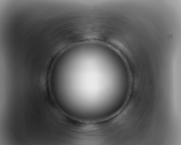 X0000088921162200706151919