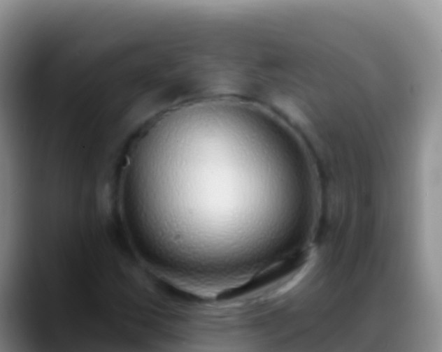 X0000088921163200706151919