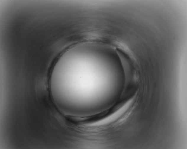 X0000088921164200706151919