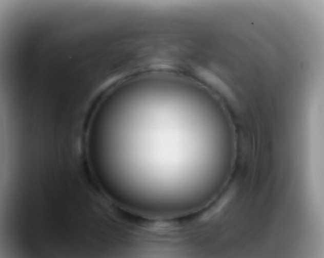 X0000088921166200706151919