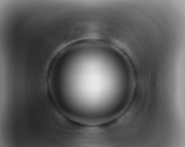 X0000088921168200706151919