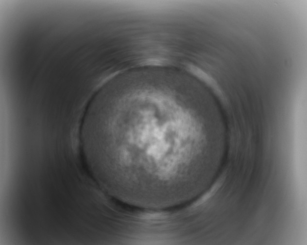 X0000088921170200706151919