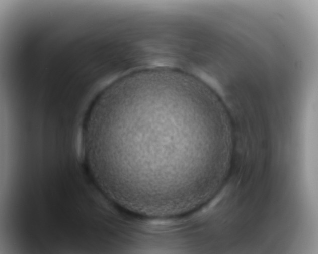 X0000088921171200706151919
