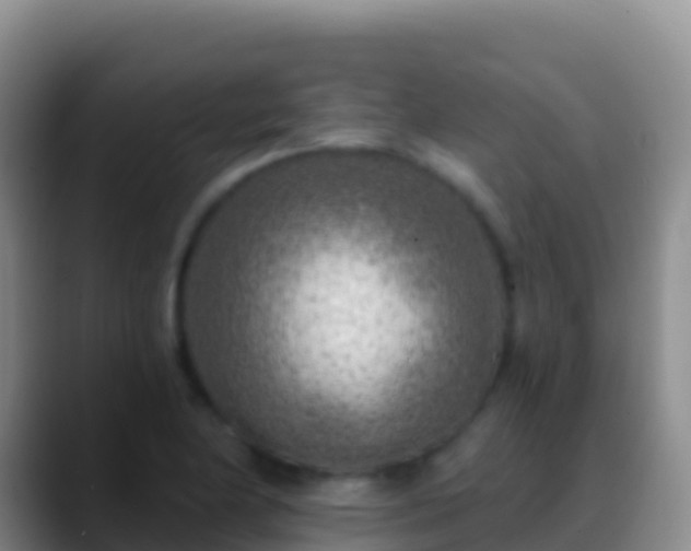 X0000088921174200706151919