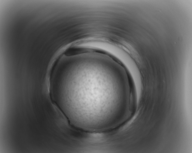X0000088921180200706151919