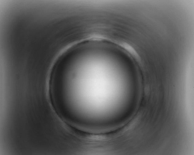 X0000088921183200706151919