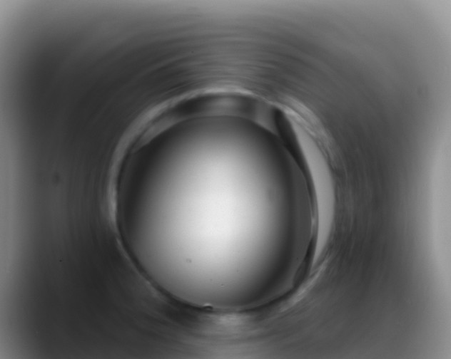 X0000088921188200706151919