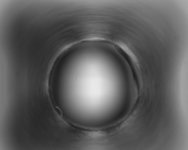 X0000088921189200706151919