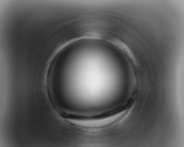 X0000088921192200706151919