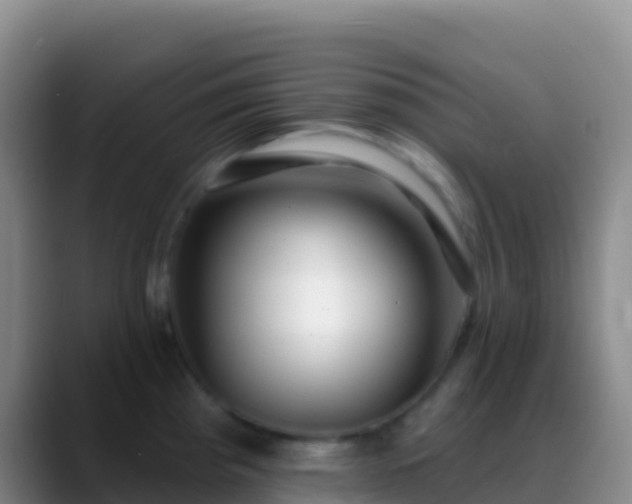 X0000088921193200706151919