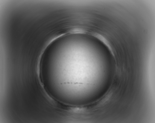 X0000088921195200706151919